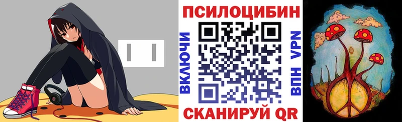 Купить  Котельники  Псилоцибиновые грибы мухоморы 